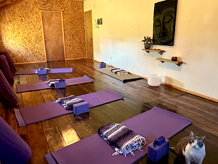 YOGA ROOM 3  